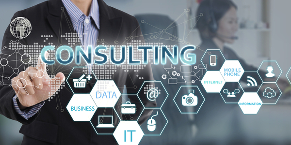 Consultant